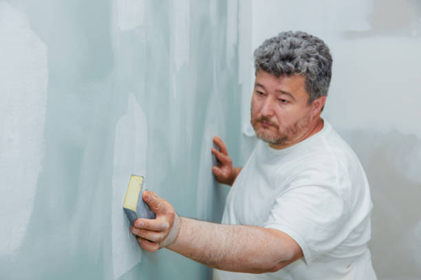 Best Asbestos and Lead Testing During Mold Inspection  in Iota, LA
