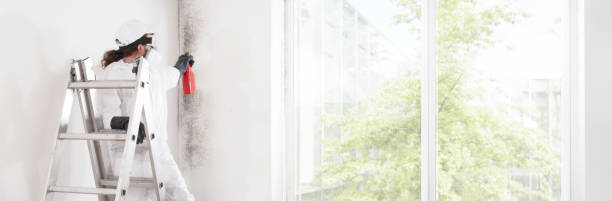 Best Mold Prevention Services  in Iota, LA